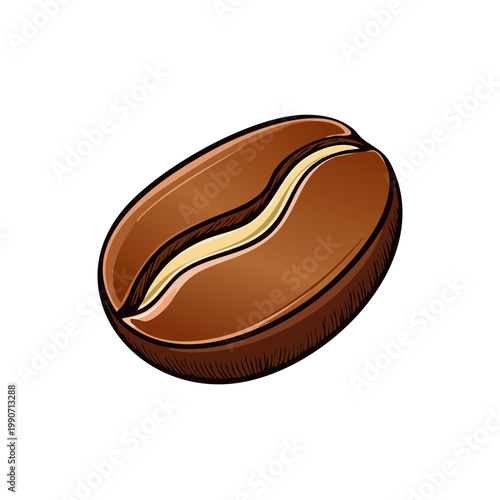 Detailed illustration of a single roasted coffee bean with a distinct creamy line and brown hue.