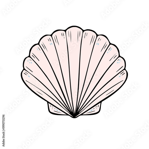 Pink Seashell Illustration Simple Line Art Ocean Beach Nature Marine Life