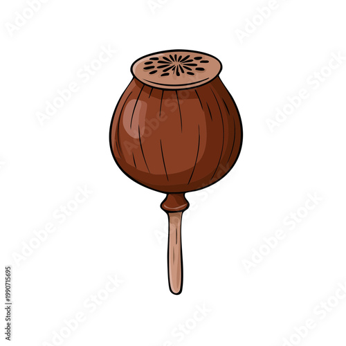 Brown Poppy Seed Pod with Stem Illustration on White Background