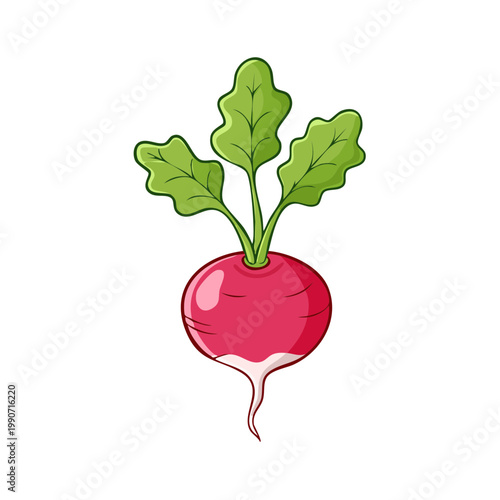 Cartoon illustration of a fresh red radish with green leaves and a root