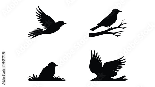 Silhouette Birds Collection: A graceful collection of various bird silhouettes, each in unique poses against a simple backdrop, capturing the beauty of avian forms.