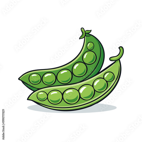 Two vibrant green pea pods artfully arranged showcasing plump spherical peas inside with a subtle shadow underneath