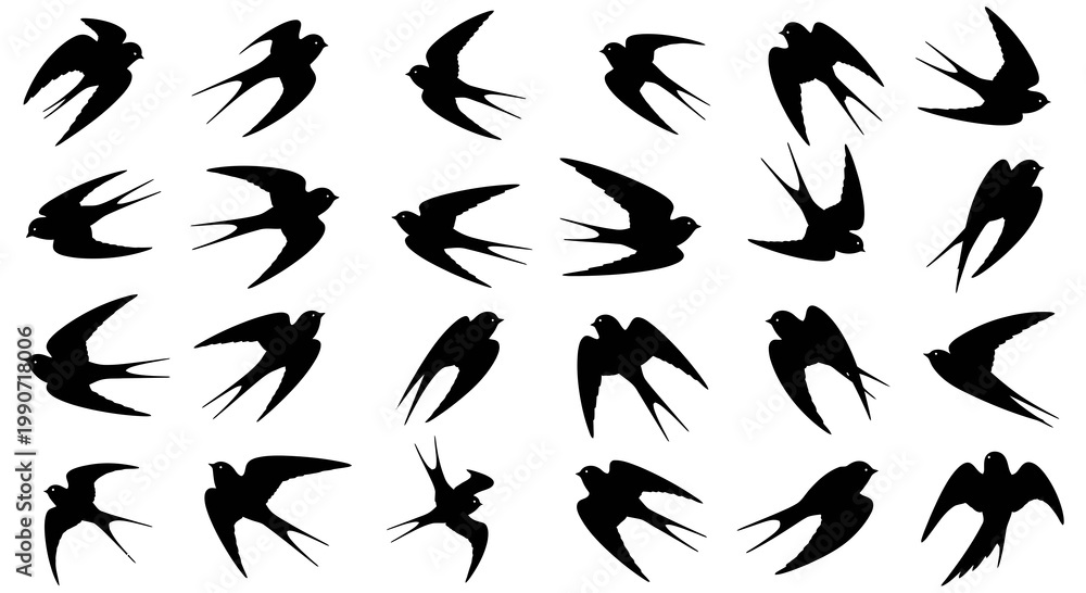Fototapeta premium Set of Flying Swallow Silhouettes Vector Illustration, Diverse Bird Poses in Black Shape for Graphic Design Projects and Nature Inspired Creative Artworks