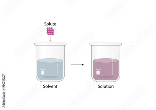 Solutions. Solubility homogeneous mixture. Solute, solvent and solution. Dissolving solids. Chemistry. Educational diagram. Beakers, isolated on white background. Vector illustration.