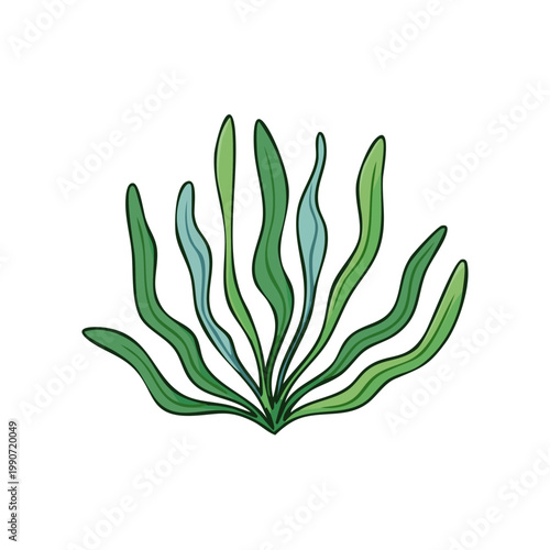 Stylized illustration of green and blue seaweed or kelp underwater, isolated on white background.