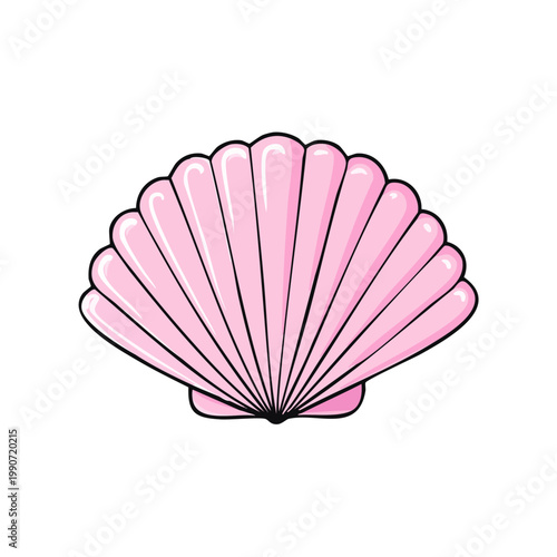 Delicate Pink Scallop Seashell Illustration