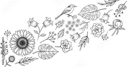 Botanical and Floral Illustration with Birds, Sunflowers, and Leaves for Nature, Garden, and Digital Media Designs