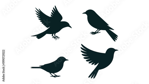 Silhouette Birds: A minimalist depiction of freedom, featuring a quartet of bird silhouettes in various stages of flight. Simple yet captivating.