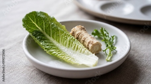 Romaine lettuce leaf and horseradish root on a white plate for Seder