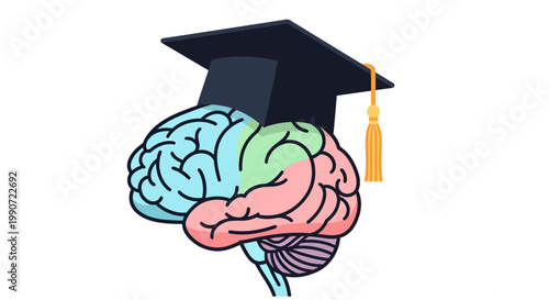 Brain with graduation cap education learning concept