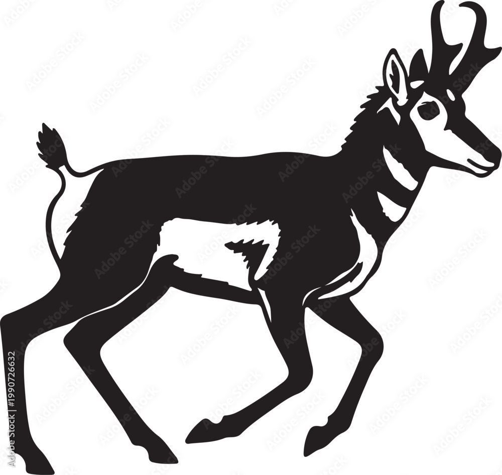 Fototapeta premium Pronghorn Antelope in silhouette on white background.