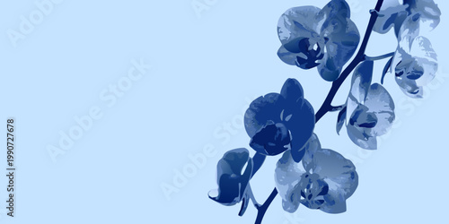 Blue orchid blossoms gracefully cascade down a slender curving stem