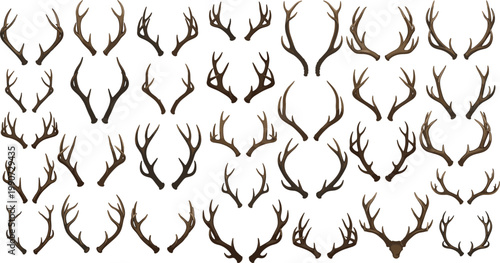 Antler Icon Set Featuring Various Deer and Elk Antlers for Wildlife and Nature Illustrations