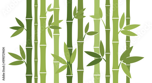 Green bamboo stalks with various leaf arrangements on a white background