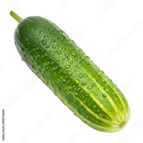 A fresh green cucumber with a smooth and slightly ribbed surface