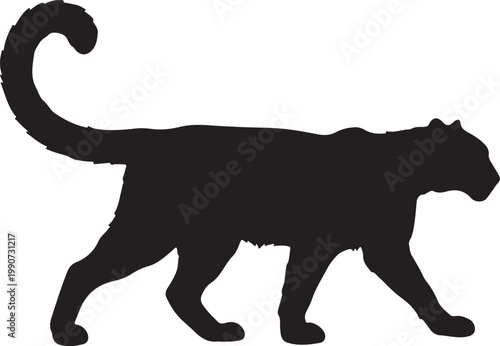 Patas Monkey in silouette.