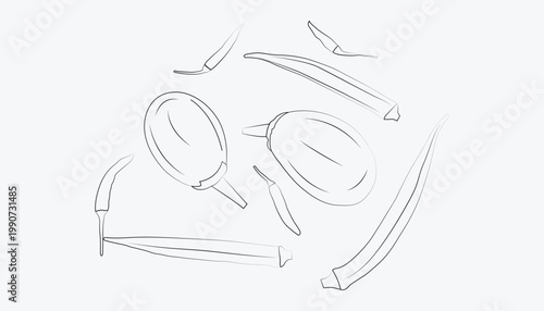 Hand-drawn black line art of fresh vegetables like eggplant, okra, and chili. Perfect for food blogs, cookbooks, packaging, and coloring pages.