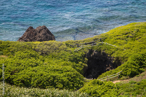 宮古島東平安名崎の緑地に広がる神秘の陥没地形