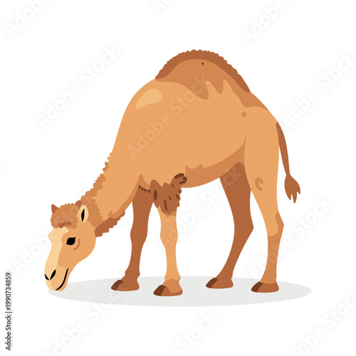 Cartoon dromedary camel grazing peacefully in the desert landscape on bright sunny day