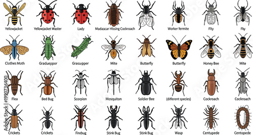 Insect Icon Set Featuring Bees, Cockroaches, Moths, Bugs, and Other Common Critters for Entomology and Nature Designs