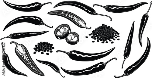 Illustration of Various Chili Peppers and Seeds, Black and White Design Featuring Different Chili Varieties and Pepper Seeds