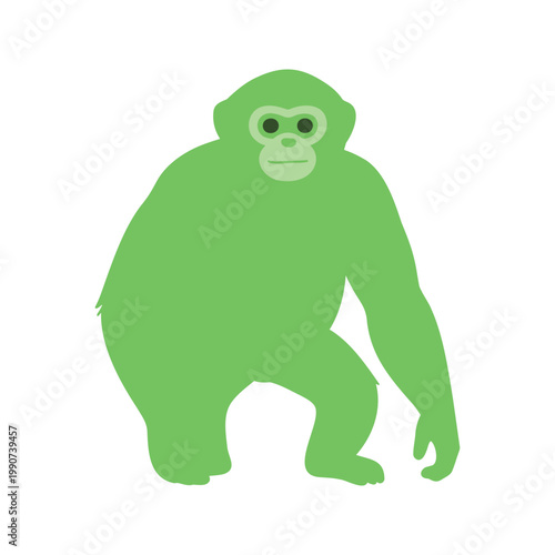 Illustration of a bright green gibbon standing on white backdrop in simple style
