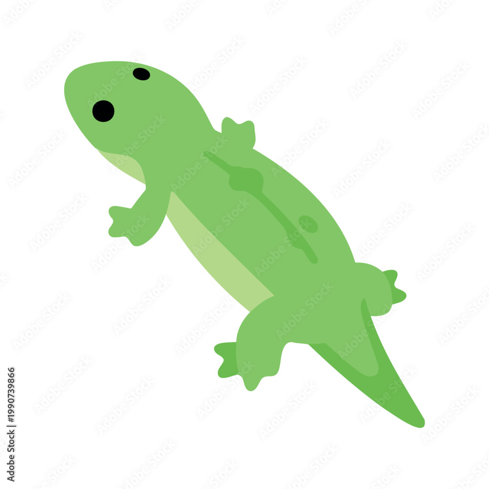 Fototapeta premium A cute light green lizard with black spots is shown on a white background