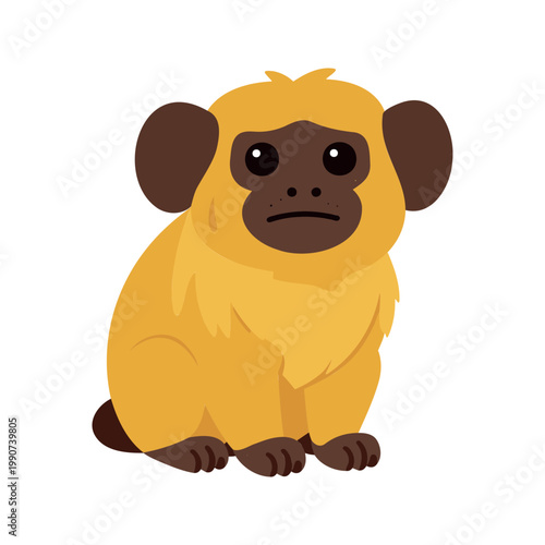 Cute golden lion tamarin sits with a sad expression on its face