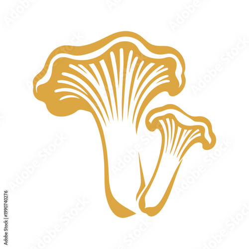 Elegant golden chanterelle mushroom illustration on white background for culinary and botanical uses