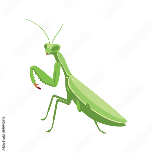 A cartoon illustration depicts a praying mantis that is light green with a red mouth and is ready to strike a pose.