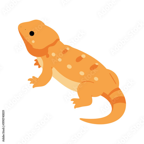 Bearded dragons are native to Australia and they are popular pets because they are docile and relatively easy to care for.