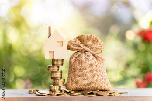 The image from the mirrorless camera shows a Gold coin and house and money bag  put on the top in the public park, Saving money or loan for real estate with buy a new home and investment concept.