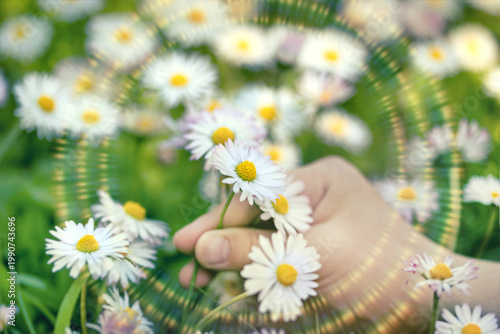 Girl holding a daisy flower, with focus on the flower and artistic lens flare overlays