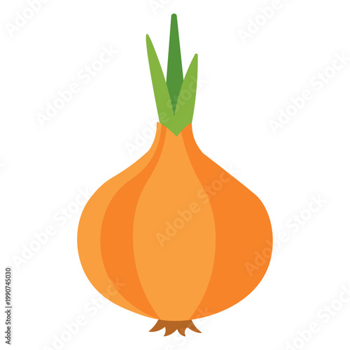 Fresh Sprouted Onion Green Shoot Vegetable Vector Illustration