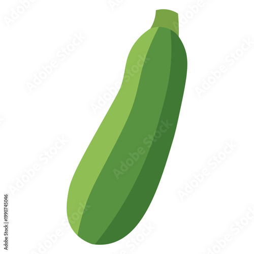 Fresh Zucchini Green Vegetable Healthy Food Vector Illustration