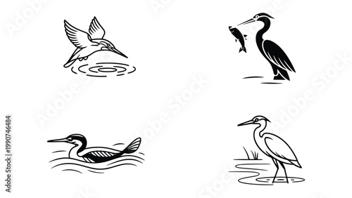 Avian Elegance: An elegant compilation of birds, captured in detailed illustrations, showcasing their grace and diversity in various water settings.