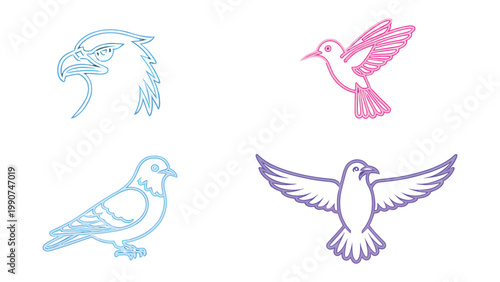 Avian Artwork: A collection of exquisite bird illustrations. Featuring a detailed depiction of a graceful eagle, a vibrant hummingbird in mid-flight, a serene pigeon at rest.