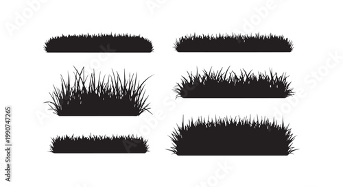 Set of black grass silhouettes different shapes collection isolated on white background design element for landscape lawn.