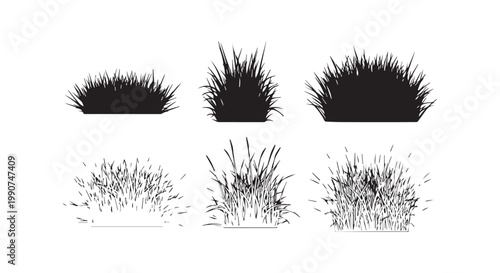 Set of grass silhouette vector illustrations for nature landscape design isolated on white background with field plant tufts.