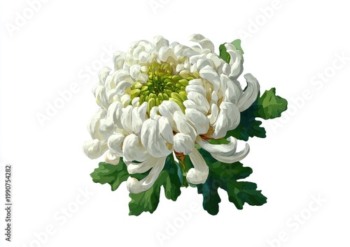 A vibrant, detailed white chrysanthemum with layered petals and green leaves