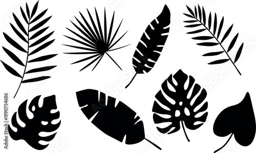 Tropical Palm Leaves Silhouettes Set on the transparent background– Black Botanical Jungle Vector Collection