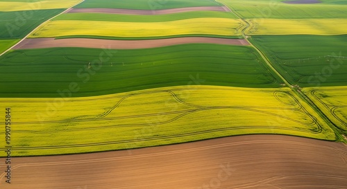 Aerial view of vibrant green and yellow farmland with various crop patterns and soil textures, showcasing agricultural diversity and natural beauty.