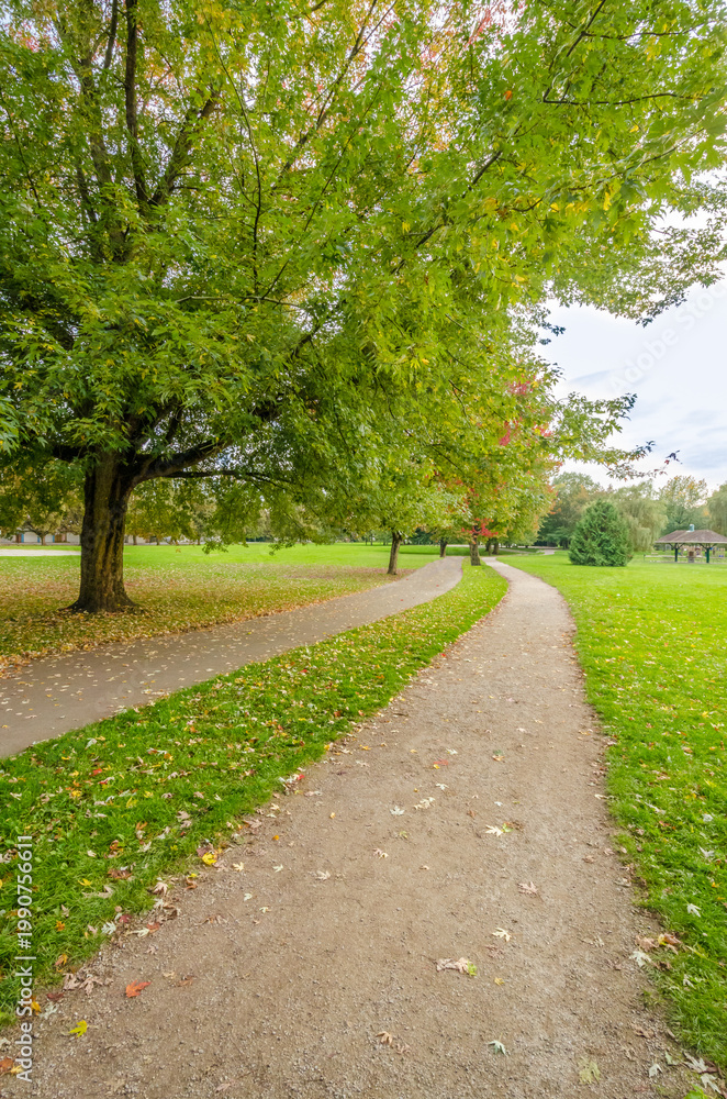 Fototapeta premium Park pathways under green trees with fallen autumn leaves, peaceful urban park landscape