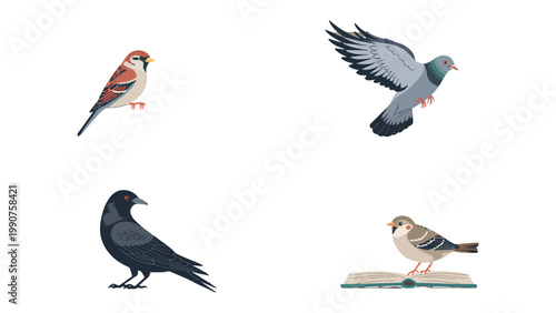 Birds and Books: An illustrated quartet of feathered friends, including a vibrant sparrow, a soaring pigeon, a wise crow, and a scholarly sparrow.
