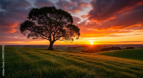 A lone tree stands on a green hill at sunset