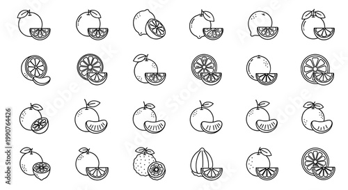 Collection of Citrus Fruit Icons Orange Lemon and Grapefruit Slices and Whole Fruits, Vector Line Art Illustrations
