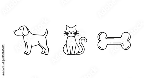 Dog Cat And Bone Illustration Focused Trio.