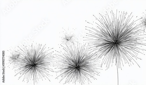 Black and white illustration of delicate dandelion seed heads against a plain white background