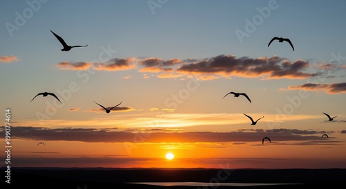 Birds fly across a stunning sunset sky with golden and orange hues. The sun sits low on the horizon, casting warm light over silhouetted birds. Dark clouds frame the scene beautifully.