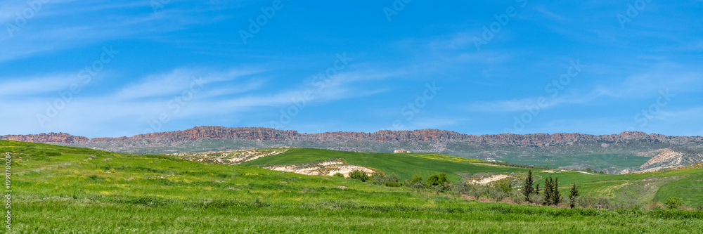 Fototapeta premium Paysage montagneux au printemps